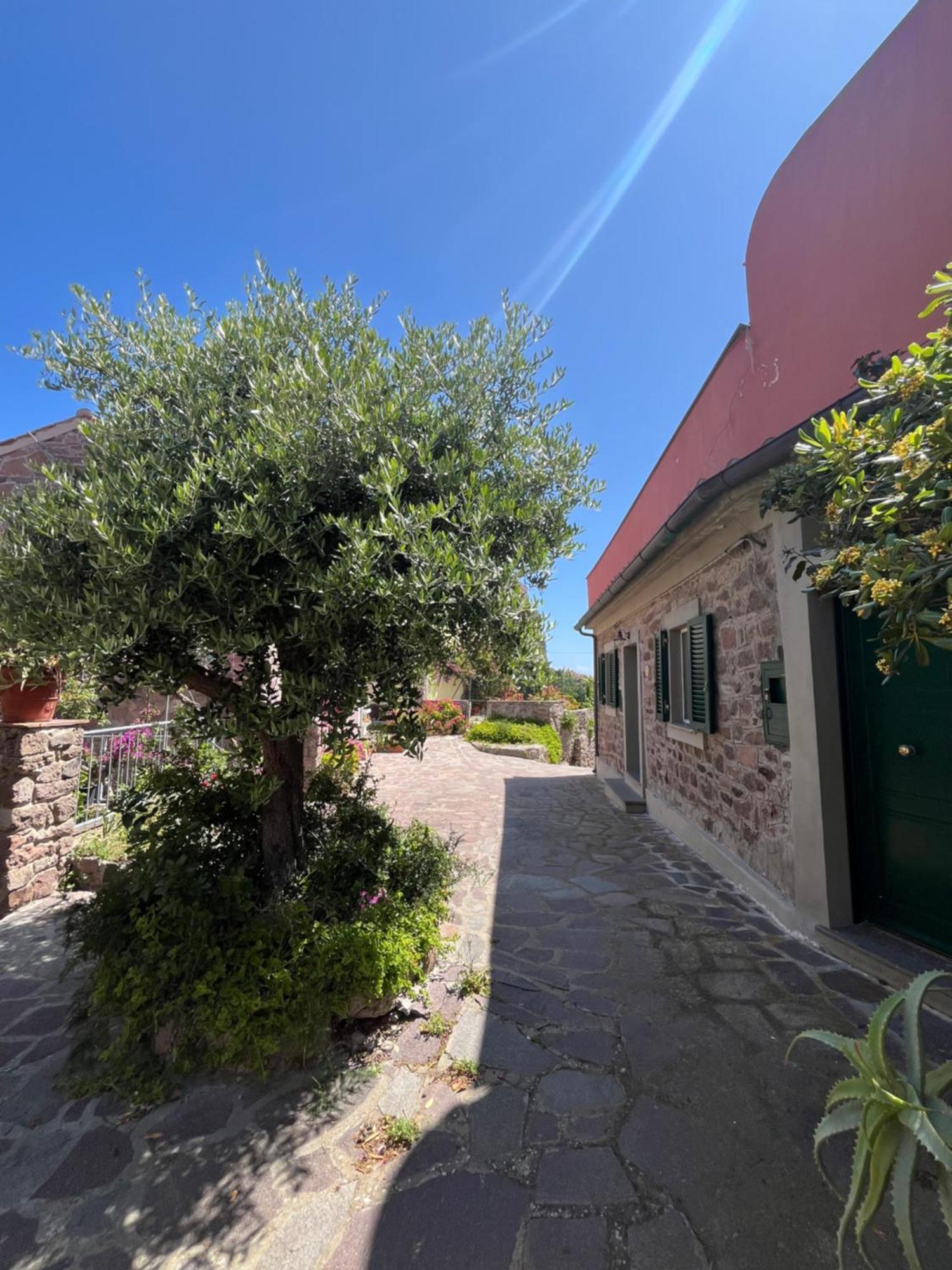 Casa Vista Castello Villa Capraia Kültér fotó